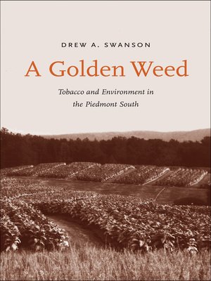 cover image of A Golden Weed